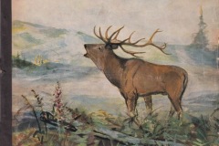 Fachberater-1965_01