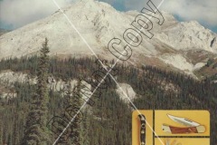 Gutman-Catalog-17-0-Do-Not-Copy