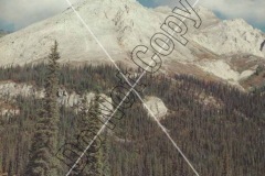 Gutman-Catalog-17-10-Do-Not-Copy