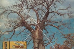 Gutman-Catalog-18-0-Do-Not-Copy