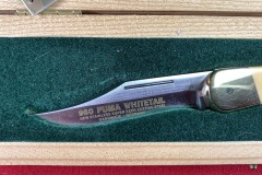 Parker-Whitetail-960-16281-2