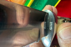 Pisano-Bowie-6396-47772-11