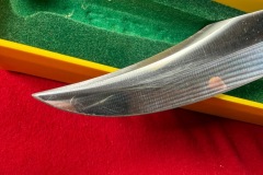 Pisano-Bowie-6396-47772-7