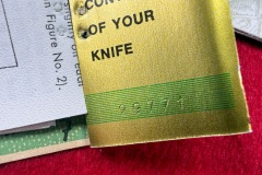 Pisano-Skinner-6373-29771-07