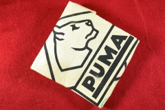 Ryan-Puma-Chamois-1970-1