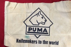 Ryan-Puma-Chamois-1970-2