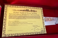 Tarpey-Spirit-Of-Texas-Bowie-6356-21781-04