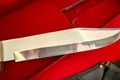 Tarpey-Spirit-Of-Texas-Bowie-6356-21781-07