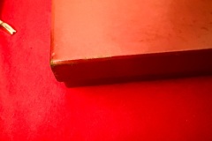 Tarpey-Spirit-Of-Texas-Bowie-6356-21781-09