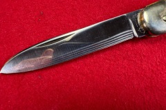 Tarpey-Springer-Model-982-1953-02