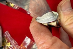 Whitman-Boot-Knife-3573-22072-13